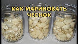 Рецепт маринованного чеснока