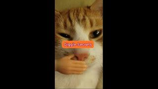 Giggle Secrets