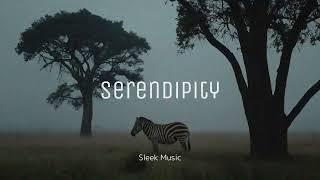 Sleek Music -Serendipity-