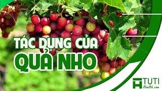 ĂN NHO CÓ TÁC DỤNG GÌ ? TÌM HIỂU 8 TÁC DỤNG CỦA QUẢ NHO KHÔNG PHẢI AI CŨNG BIẾT