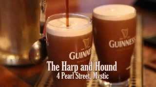 Mystic View Ad - The Harp and Hound