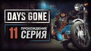 ПРОСТО БОЙНЯ — DAYS GONE | ПРОХОЖДЕНИЕ [#11]