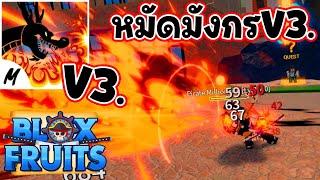 (สปอยไม่พัก) หมัดมังกรV3. - Blox Fruit