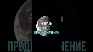 #астрология #натальнаякарта #предназначение #школаастрологии #обучениеонлайн #астролог #гороскоп