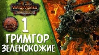 Total War: Warhammer 2 - (Легенда) - Гримгор | Зеленокожие #1