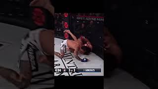 Бои #ufc #mma #дагестан #shortsvideo #мма #бои