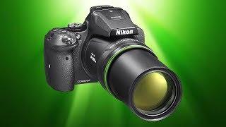 Can I Use a Nikon P900 for WILDLIFE Photography?