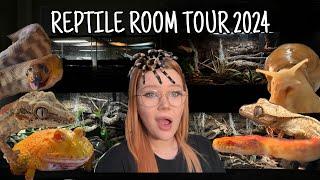 REPTILE ROOM TOUR 2024