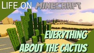 Things you didn't know about the Cactus in Minecraft: Life on Minecraft, All about Cactus (Avomance)