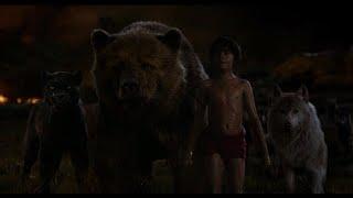 The Jungle Book (2016) - Sherekhan VS Baloo & Bagheera | Hollywood | MovieClips In Hindi HD