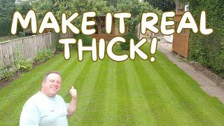 How To Thicken Up Your Lawn