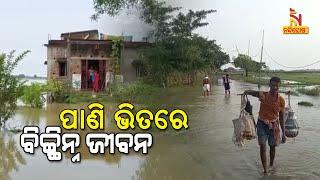 Bhadrak Deluged, Villages Under knee-deep Water Till Friday | NandighoshaTV