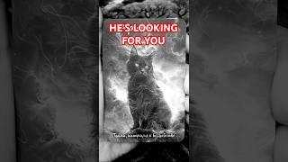 Who’s Searching for You Now His Name Revealed! Tarot Reading #shorts