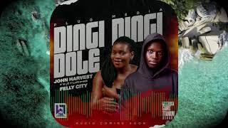 Dingi Dingi Dole   John Harvest X Felly City