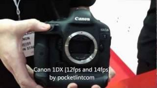 Nikon D4 vs Canon 1Dx [SHUTTER WAR]