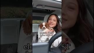 Eloise’s FIRST drive with me #newpuppy #drivewithmevlog