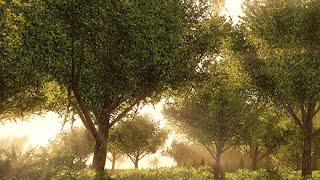 Intro to Speedtree in CryEngine - (3dm Promo)