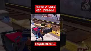 черепашки прячутся в подземелье... #fortnite #фортнайт #фортнайтнарезки #фортнайтприколы#черепахи