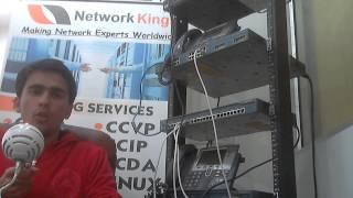 Network Kings Review