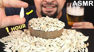 1 Hour ASMR White Sunflower Seeds MUKBANG (No Talking) CRACKLING EATING SOUNDS