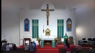 Tuesday Morning Mass | September 24, 2024 at 8:30 am |  Fr. Tomy J. Puliyan, MSFS Pastor