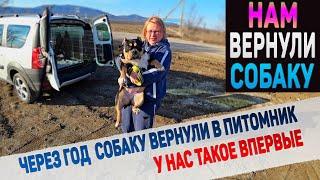 Отличную собаку неожиданно вернули назад в питомник! Мы удивлены.