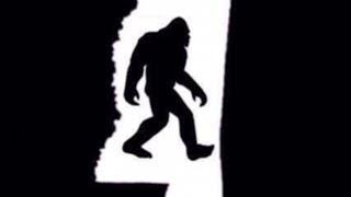 Mississippi Bigfoot Video Diaries ( Alone in the Dark )