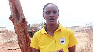 WWF Kenya