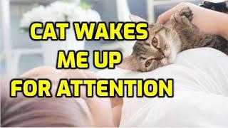 Why Does My Cat Keep Waking Me Up So Early?