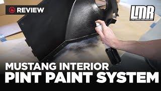 Ford Mustang Interior Paint Systems - How To & Review (1979-2004)