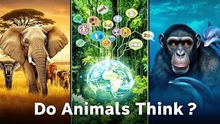  Do Animals Have Consciousness? | Exploring Emotions, Thoughts & Self-Awareness Around the World 
