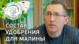 Удобрение для малины. Что нужно знать выбирая удобрение для малины.