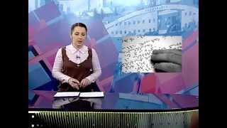 2015  11 13    151   Всемирный день слепых людей LTV89RU