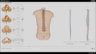 DIERS 4Dmotion® - Dynamic Spine & Posture Analysis