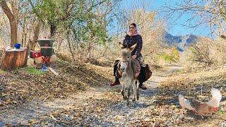 Village Lifestyle Iran: Amazing Cooking & Donkey Riding By A Girl