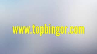 Top online Bingo websites with free bingo games