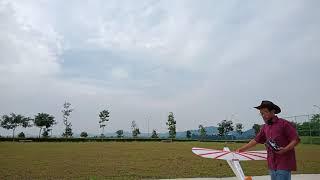 Slow and Low Flying Cub