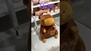 CapybaraSoCute#buddy #animals #cute #lovely #accessories #funny #capivara #kapibara 