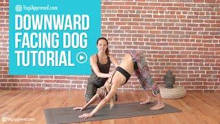 Downward Dog - Downward Facing Dog Yoga Tutorial