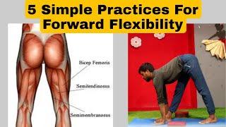 Five Practices For Forward Flexibility/Hamstring Muscles Training/Leg Muscles Practices-Yoga Saathi.