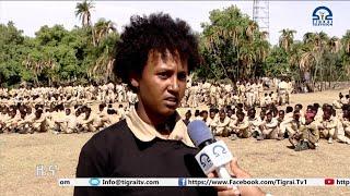 Live Streaming TIGRAI TELEVISION