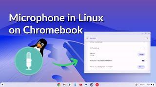 How to Enable the Microphone in Linux on a Chromebook