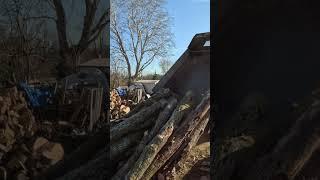 The Dump‼️🪵 #firewood