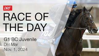 DRF Friday Race of the Day | Grade 1 Breeders' Cup Juvenile | November 1, 2024