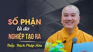 Số phận là do NGHIỆP TẠO RA - Thầy Thích Pháp Hòa