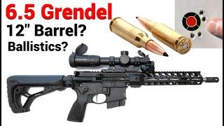 PSA 6.5 Grendel - 12" Barrel?  What can YOU expect?