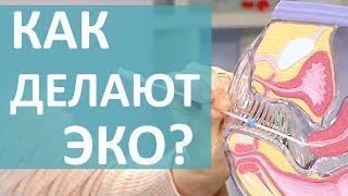 ЧТО ТАКОЕ ЭКО? ЭКО: ШАНС БЫТЬ МАМОЙ!