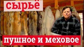 Всё о шкурах. Пушное и меховое сырье. Выделка шкур