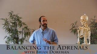 Support your Adrenals with a Gentler Yoga Practice with Brian Dorfman