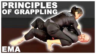 The 5 Basic Principles of Grappling for MMA